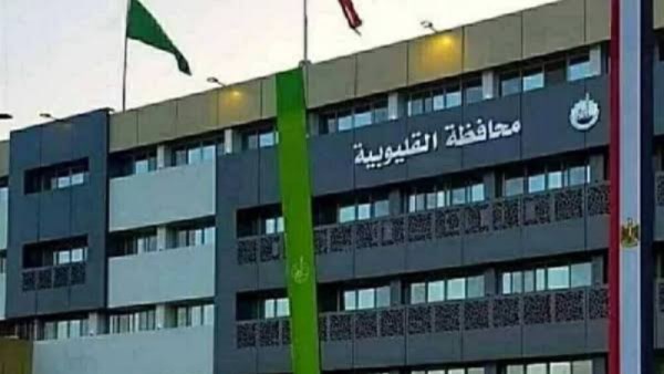 نتيجة محافظة القليوبية 2026 