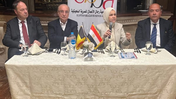 رشا عبدالعال، رئيس مصلحة الضرائب المصرية