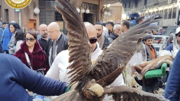 وزارة البيئة