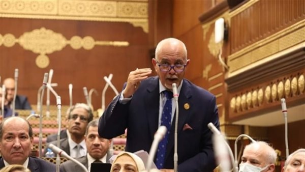 حازم الجندي عضو مجلس الشيوخ