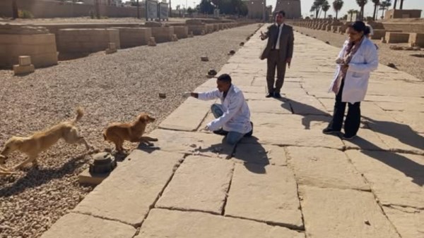 جانب من الحملة 