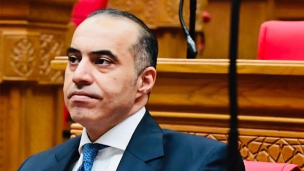 المستشار محمود فوزي
