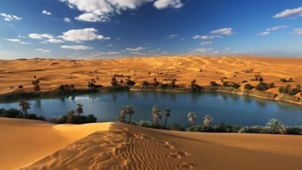 واحة سيوة 