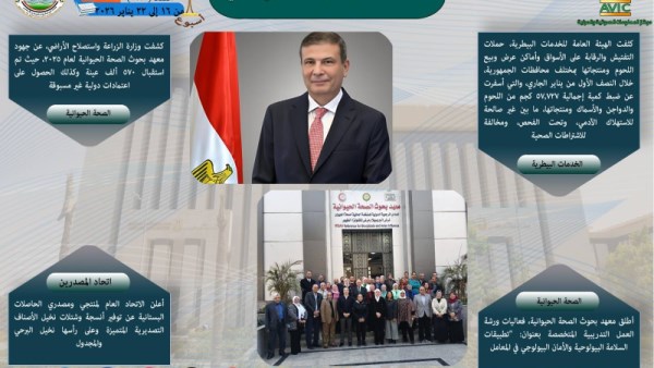 انفو جراف