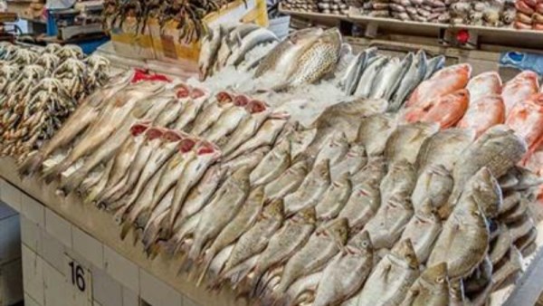 سعر السمك