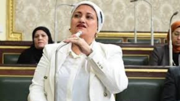النائبة سناء السعيد