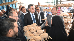 وزير التموين يتفقد سير العمل بالمنظومات التموينية المختلفة ويتأكد من توافر السلع وجودتها