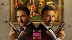 محمد سامي يشيد ببرومو The Seven Dogs: بجودة أفلام هوليوود