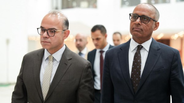 محمد فريد، وزير الاستثمار