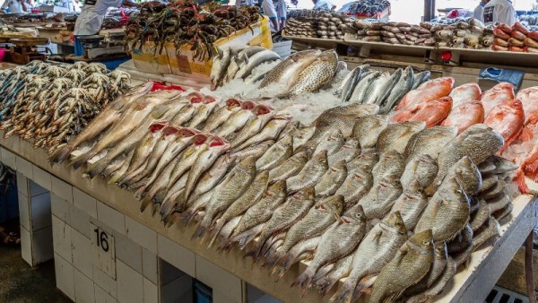 سعر السمك في سوق العبور اليوم 