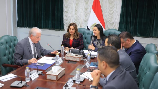 التضامن والتنمية المحلية
