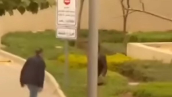 الواقعة 