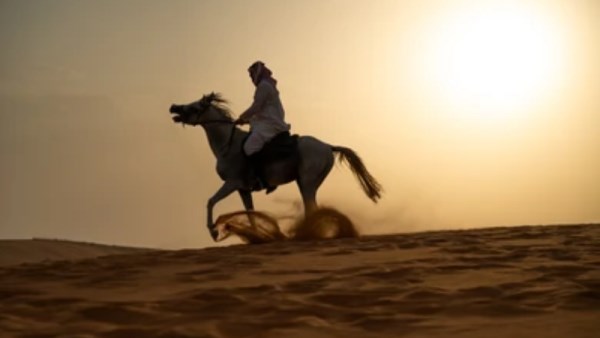 أرشيفية