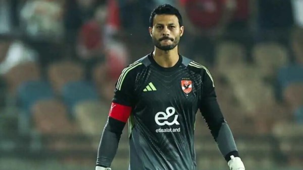 محمد الشناوي 