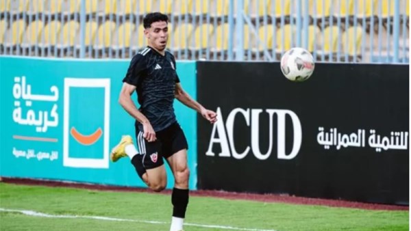 توفيق محمد