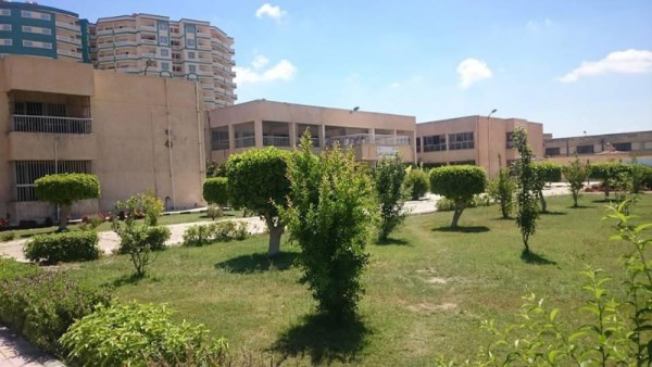 أرشيفية 