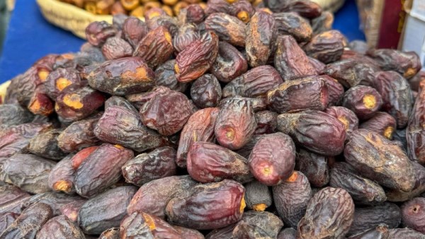 مهرجان التمور 