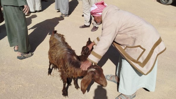 دعم أهالي جنوب سيناء 
