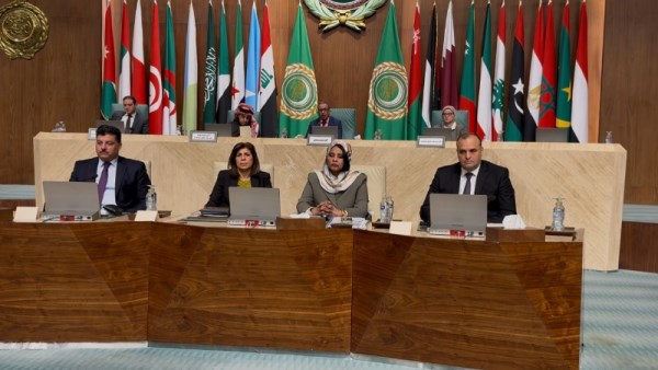 المجلس الاقتصادي