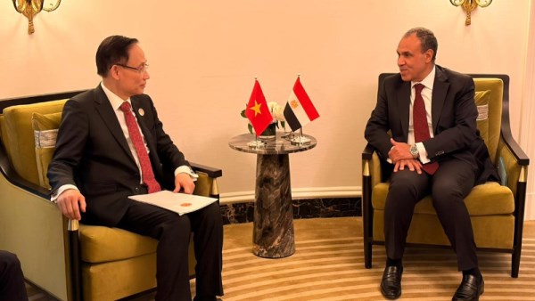وزيرا خارجية مصر وفيتنام