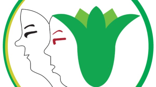 المركز المصري لحقوق المرأة