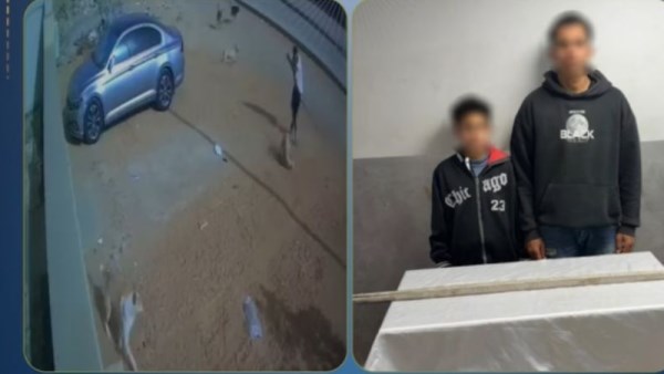 القبض على المتهمين بإنهاء حياة كلب والتعدي عليه بالعصا 