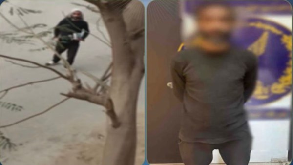 المتهم