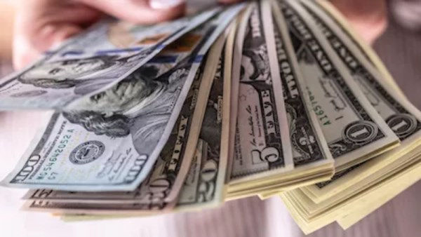 سعر الدولار اليوم 