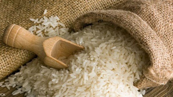 سعر الارز 