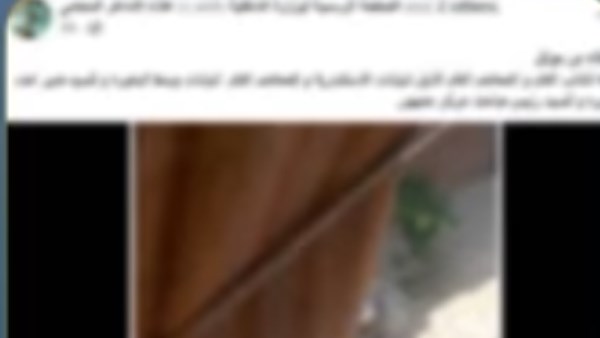 صورة من الواقعة 