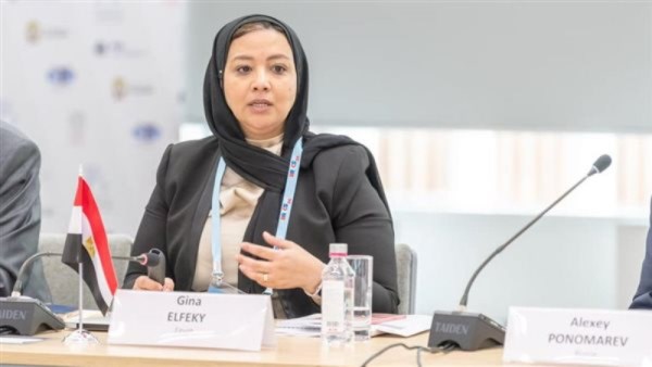 د.جينا الفقى القائم بعمل رئيس أكاديمية البحث العلمى والتكنولوجيا 