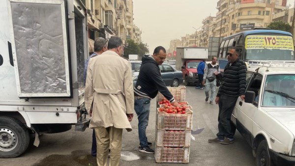 طرح الطماطم في الأسواق