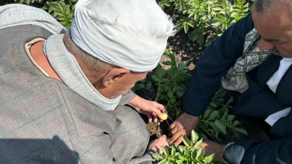 المزارعينن بمحافظة المنيا 