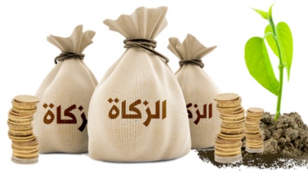 زكاة الفطر 