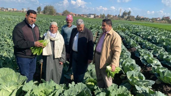 جولات ميدانية بالحقول الزراعية 