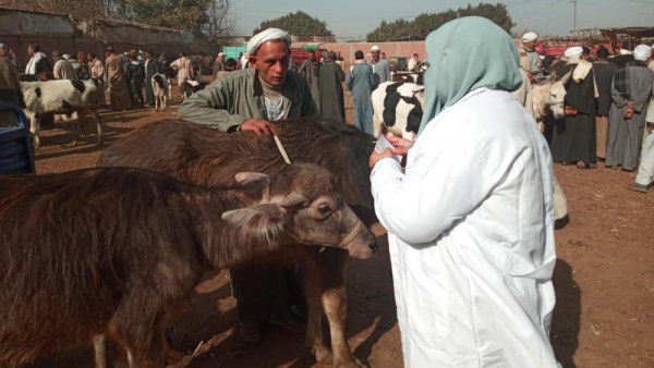حملات وزارة الزراعة 
