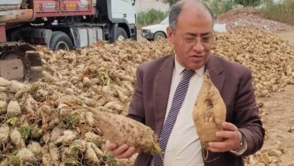 حملات تفتيشية بمدريات الزراعة 