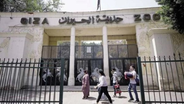حديقة الحيوان بالجيزة
