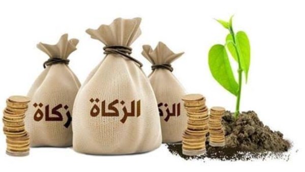 مقدار زكاة الفطر 2026 نقداً 