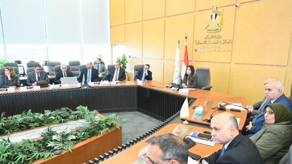  المهندسة راندة المنشاوي