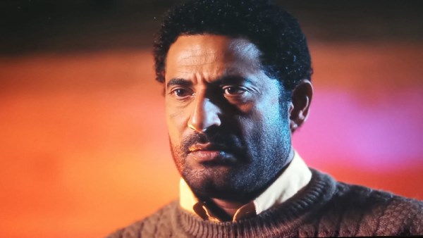 عمرو سعد 