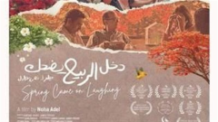 الليلة، عرض فيلم 