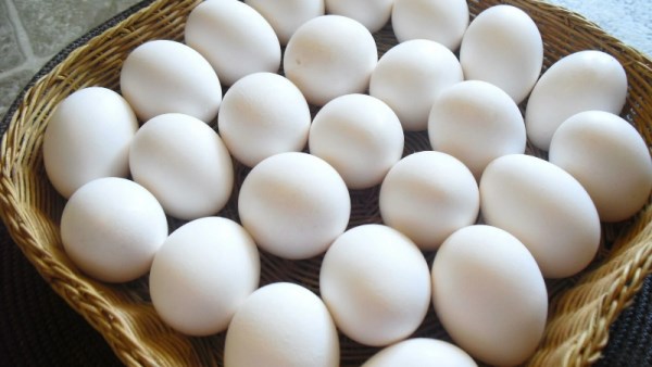 سعر كرتونة البيض اليوم 