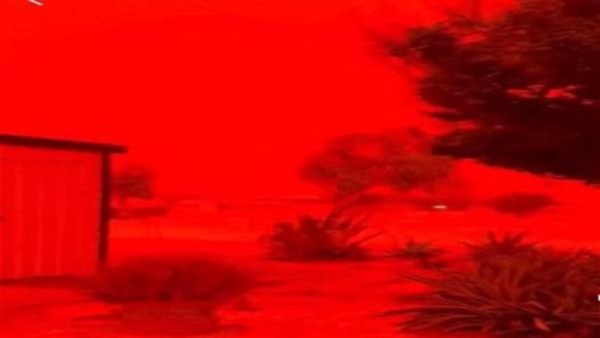 العاصفة الدموية