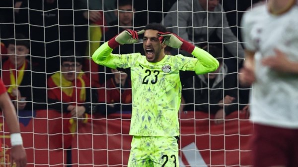 مصطفى شوبير