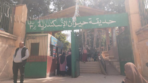 حديقة حيوان الإسكندرية 