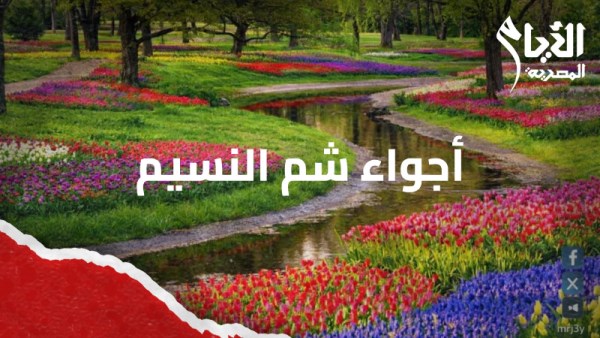 طقس اليوم 