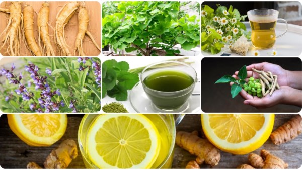  7 أعشاب تقوي ذاكرتك