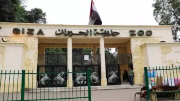 هل تفتح في شم النسيم؟ موعد فتح حديقة الحيوان بالجيزة 