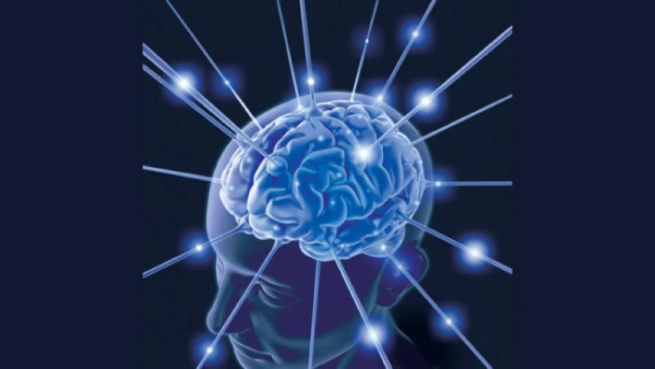 دراسة تكشف أسرار الذاكرة